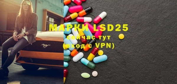 mdpv Вяземский