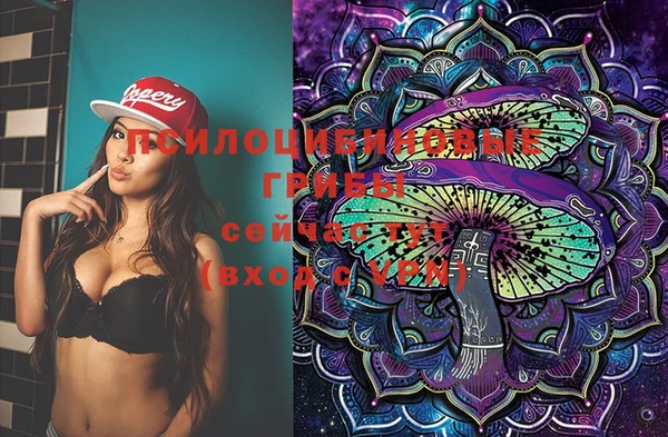 стафф Волосово
