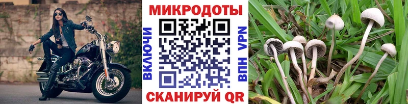 как найти Ковров Псилоцибиновые грибы ЛСД